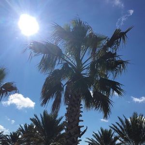 Meet your Posher, Steph